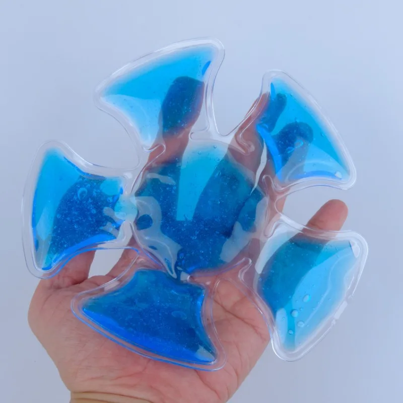 Compresse de gel PVC bleue – C - Travel Accessories Pack avis et prix